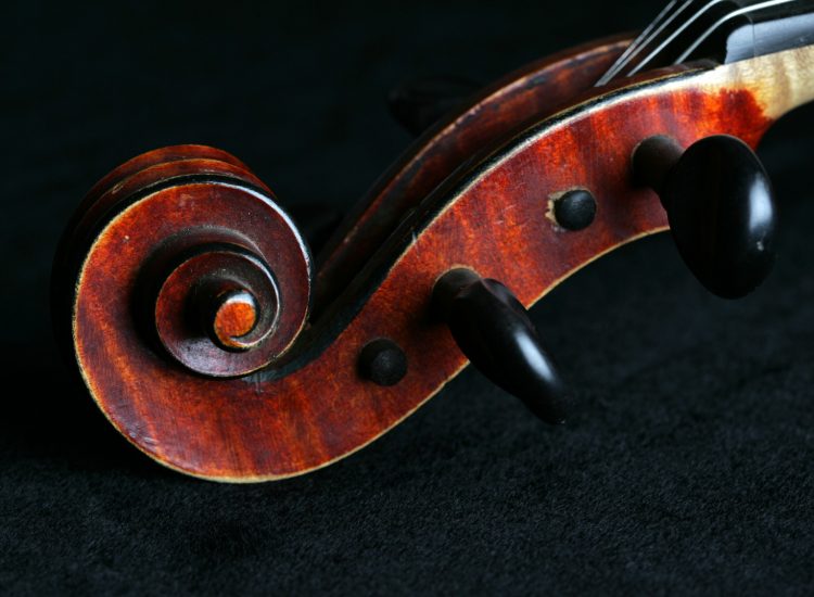 Violin strings